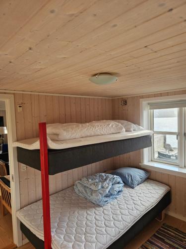 a bedroom with two bunk beds in a tiny house at Mulheidar in Leynar