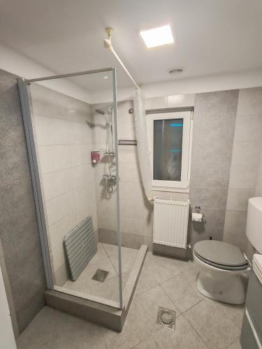 a bathroom with a shower with a toilet and a window at Sleep&Go Airport Transit Rooms Cluj-Napoca in Cluj-Napoca