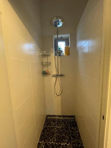a shower with a shower head in a bathroom at Chalet de la fée Marion et Alice in Virton