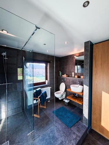 ein Badezimmer mit Dusche, Toilette und Waschbecken in der Unterkunft La Cardamine in Marche-en-Famenne