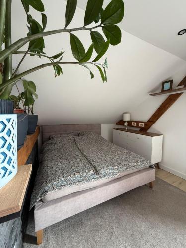 a bedroom with a bed and a potted plant at Studio Lec in Giżycko