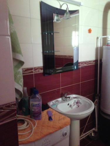 W łazience znajduje się umywalka i lustro. w obiekcie Moara Lui Ivan w mieście Hănăşeşti
