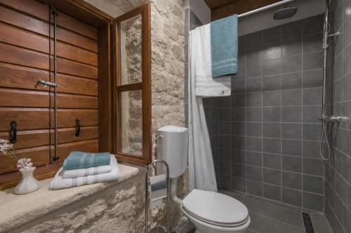 a bathroom with a toilet and a shower at Holiday home Dida Jere in Benkovac