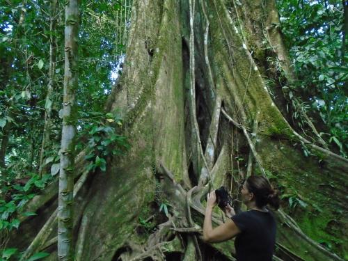 a woman taking a picture of a tree at Hotel Platinum Class in Nueva Loja