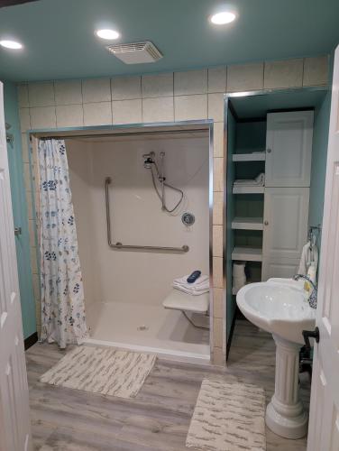a bathroom with a shower and a sink at Finnegan's Cottage in Placentia