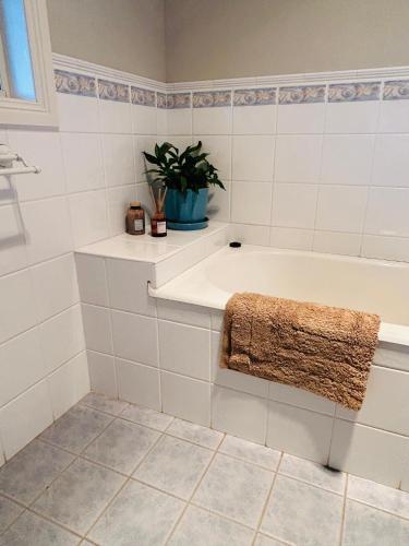 a bathroom with a tub and a plant at Roses Farmhouse in Heathmere