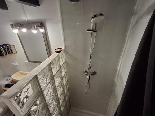 a bathroom with a shower and a toilet in it at Studio indépendant avec jardinet in Tarnos