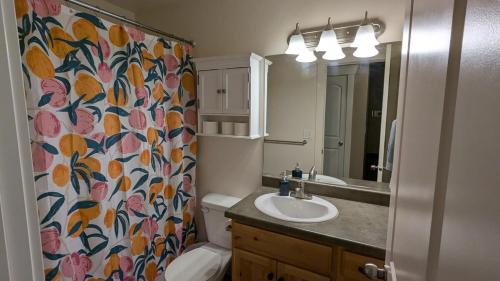 a bathroom with a toilet and a sink and a shower curtain at Central Mountain Retreat - Sleeps 7! in Logan