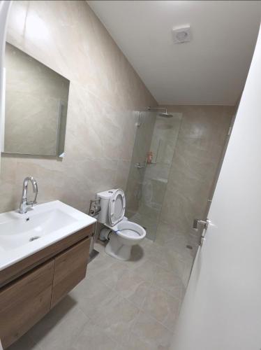 a bathroom with a toilet and a sink and a shower at Koresh 10 -revelin suite in Jerusalem