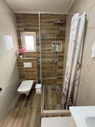 a bathroom with a shower and a toilet at Apartman Đole&Ljuba -Radanovići , Kotor in Ðuranovići