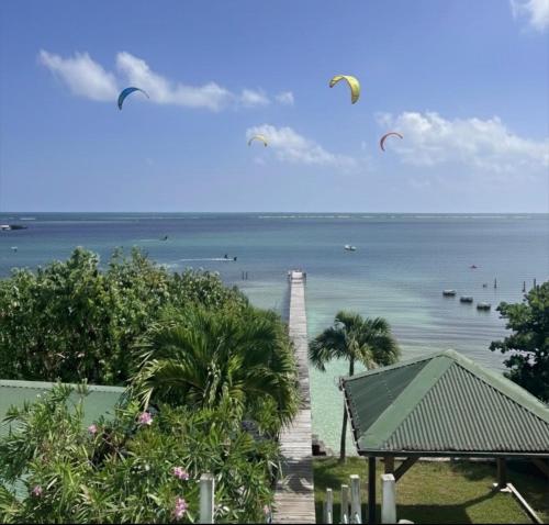 a group of kites flying in the air over the ocean at Caribbean Lotus in Le François