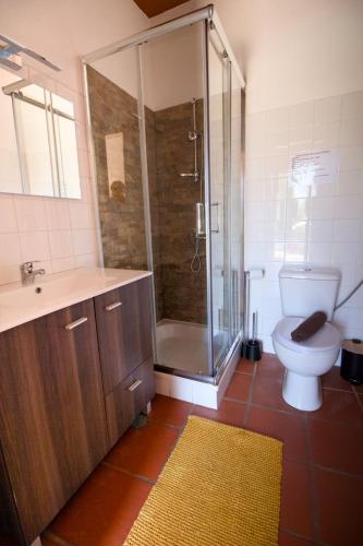 a bathroom with a shower and a toilet and a sink at Palacete Dos Alcaides in Minas de São Domingos