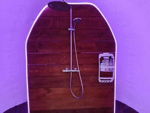 a shower with a shower head in an arch way at Les Bulles du Coq de Champagne in Dormans