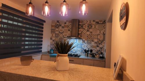 a kitchen with a vase with a plant on a counter at Villa Lol-Ha in Cancún