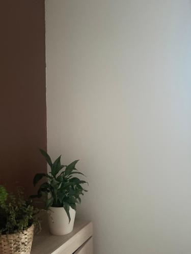 Terrace Apartment