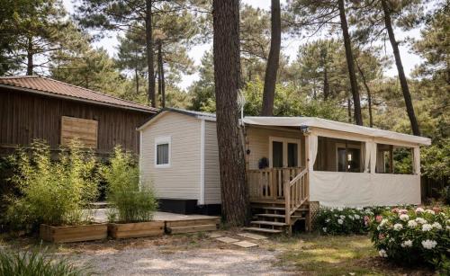 La cabane des pins