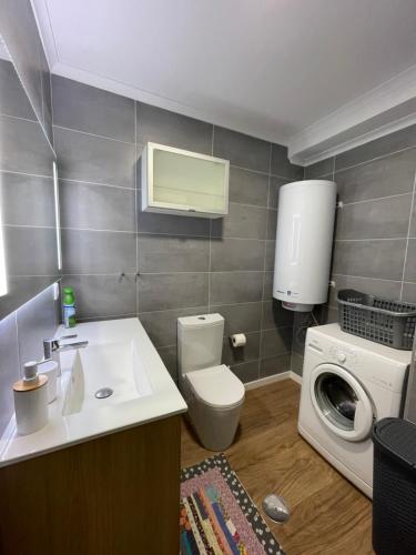 a bathroom with a toilet sink and a washing machine at Azorean Sunset Loft 1 in Ribeira Grande