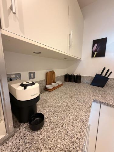 a kitchen with a sink and toilets in a room at VIP apartment paddington in London