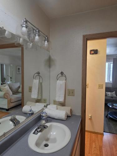a bathroom with a sink and a large mirror at RJN in Fairbanks