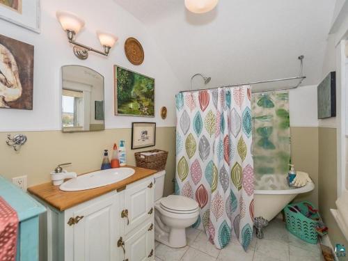a bathroom with a sink and a toilet and a shower curtain at Waterfront The Hearding Island in Duluth