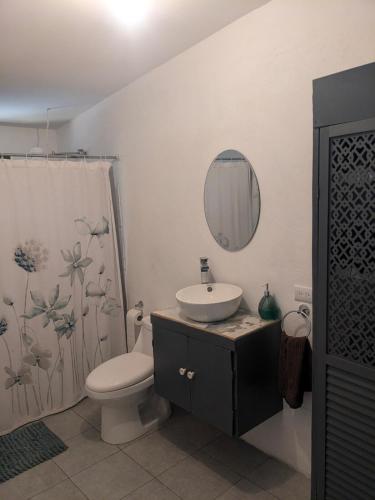 a bathroom with a sink and a toilet and a mirror at The Paradise Jungle Studio in Coco
