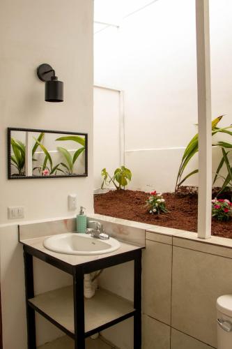 un bagno con un lavandino e uno specchio con piante di Volcano Panoramic Views a Vara Blanca