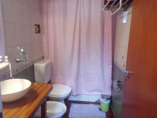 a bathroom with a sink and a toilet and a shower at El Jacaranda in Carmen de Patagones