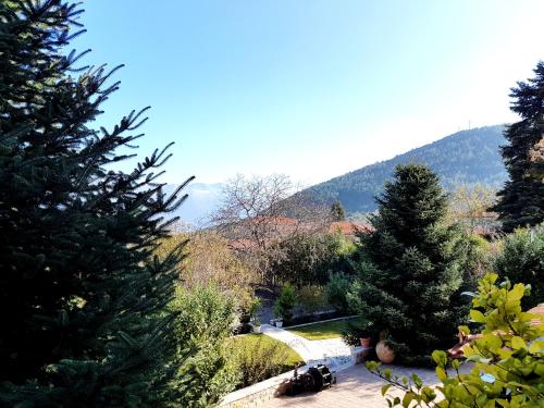 a view of a garden with two pine trees at Xenonas Ioanni Parcha in Levidhion