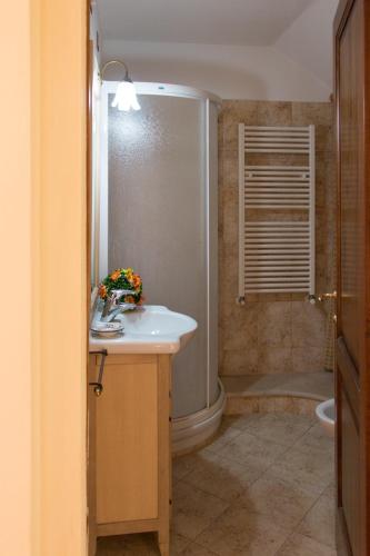 a bathroom with a sink and a shower at Note in Val d'Orcia in San Quirico dʼOrcia