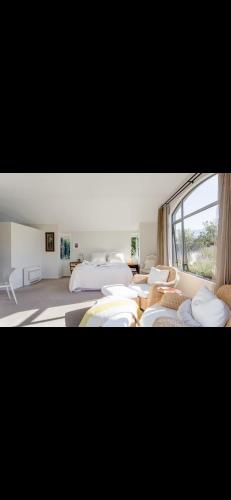 a group of beds in a room with a window at Retreat to Pisa in Mount Pisa