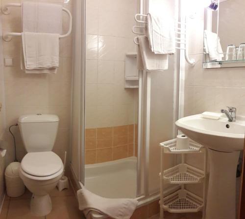 a bathroom with a toilet and a shower and a sink at Vila Poilsis Nidoje in Nida