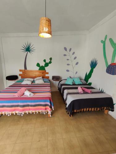 two beds in a room with plants on the wall at Hostel Casa Maguey in Oaxaca City