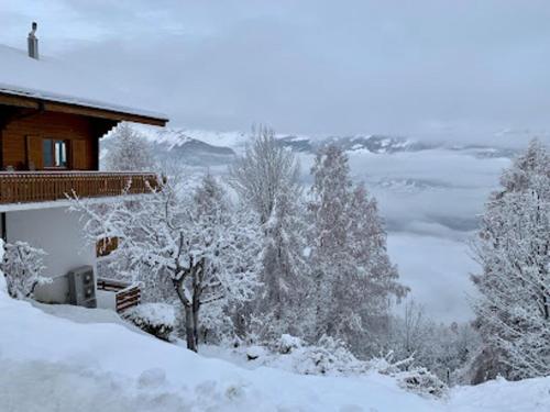 Cozy Apartment With Mountain Views