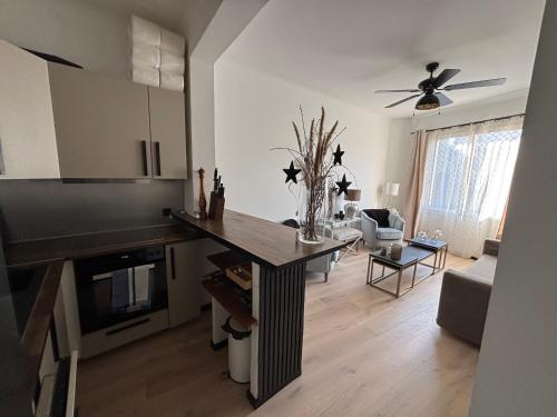 Luxury, newly renovated, 2-room apartment, Banana