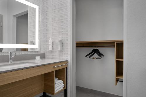 a bathroom with a sink and a mirror at Hampton Inn & Suites Roswell in Roswell