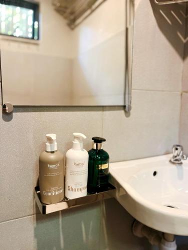 a bathroom with two bottles of soap and a sink at Hidden Garden Villa in El Nido