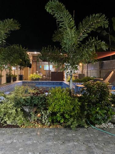 a swimming pool with plants and a palm tree at Casa Sandrine resort in Malolos
