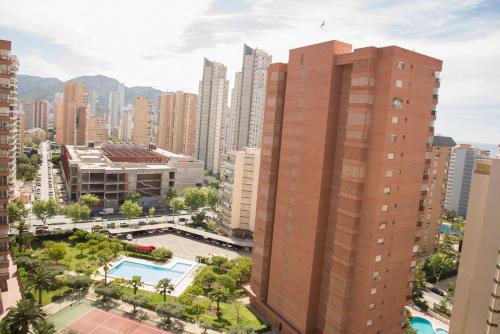 Paraiso Centro Alquilevante