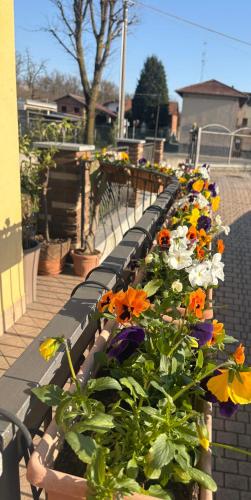 a row of benches with flowers on them at AirSisters Home in Ferno