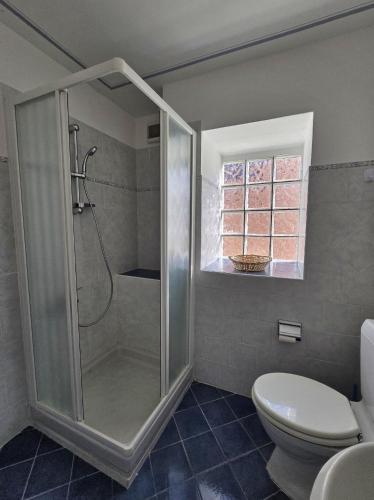 a bathroom with a shower and a toilet at Casa Ilde in Palagnedra