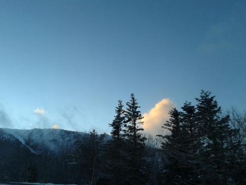a group of trees in front of a mountain at Apartaments Bonet in Pal