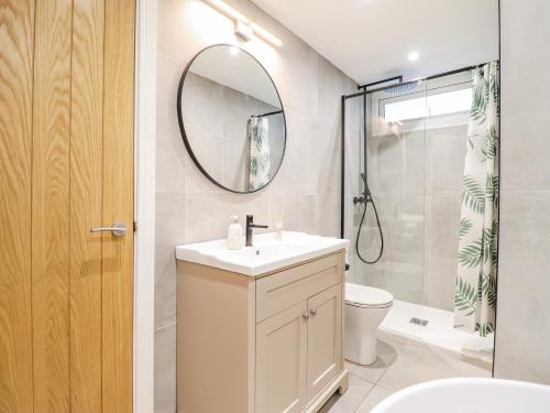 a bathroom with a sink and a toilet and a mirror at Hafod Y Bryn in Harlech