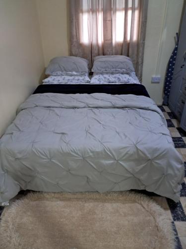 a large bed in a bedroom with a blanket at Ebenezer Comfort in Bellevue Chopin