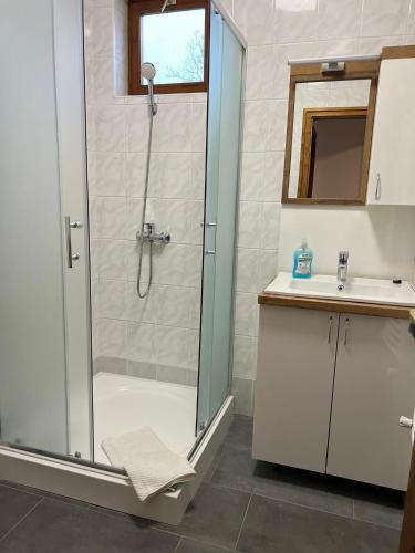 a bathroom with a shower and a sink at Kormorán Vendégház in Matty