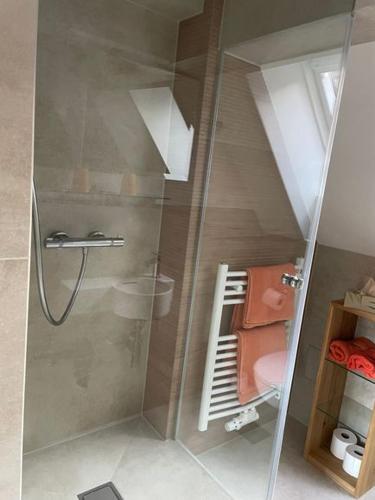 a shower with a glass door in a bathroom at Haus am Kastanienwald in Bad Bergzabern