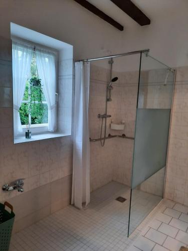 a bathroom with a shower with a glass door at Ferienhaus in Clenzer Schweiz in Clenze