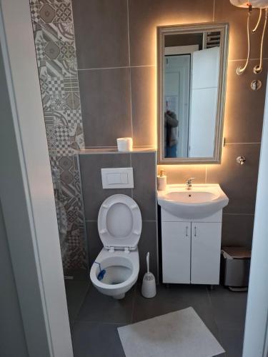 a small bathroom with a toilet and a sink at Sremica in Vrnjci