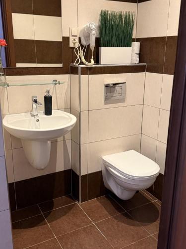 a bathroom with a sink and a toilet at Dolnośląski in Ząbkowice Śląskie