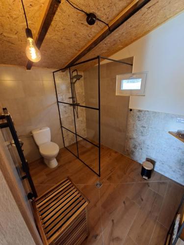 a bathroom with a toilet and a glass shower at Chatka U Vlka in Lnáře