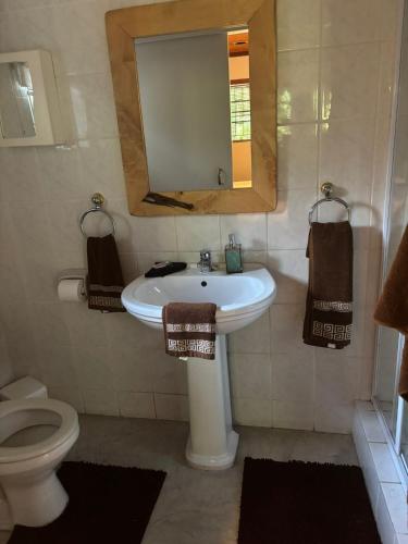 a bathroom with a sink and a mirror and a toilet at The Rock & Root Guesthouse Self Catering in Nelspruit
